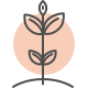 Decorative seedling with orange background